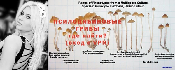 прущая мука Кодинск