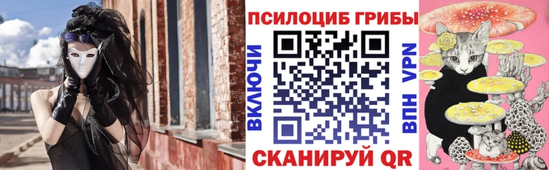 darknet какой сайт Сатка Галлюциногенные грибы Psilocybine cubensis сколько стоит