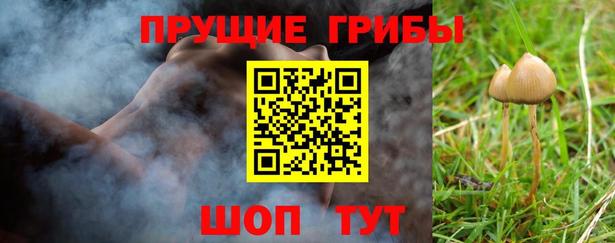 Галлюциногенные грибы Cubensis Сатка